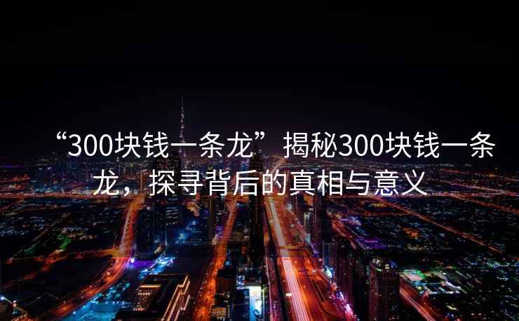 “300塊錢(qián)一條龍”揭秘300塊錢(qián)一條龍，探尋背后的真相與意義