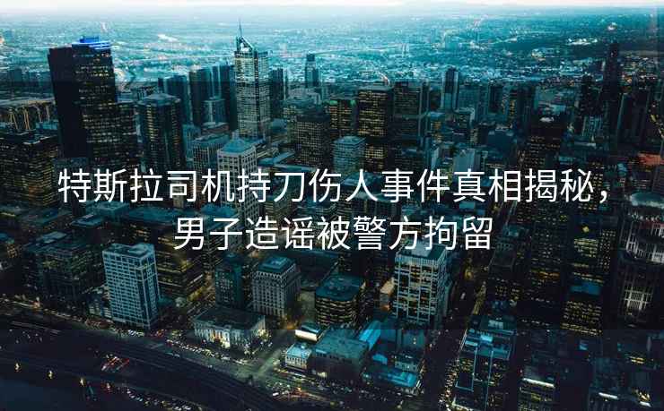 特斯拉司機持刀傷人事件真相揭秘，男子造謠被警方拘留