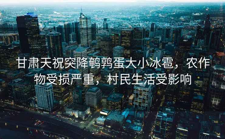 甘肅天祝突降鵪鶉蛋大小冰雹，農作物受損嚴重，村民生活受影響