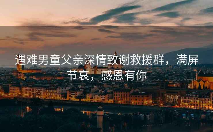 遇難男童父親深情致謝救援群，滿(mǎn)屏節哀，感恩有你