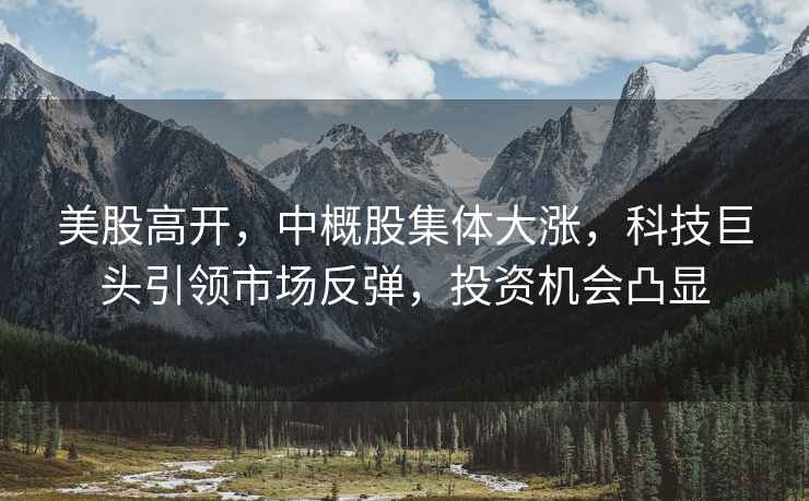 美股高開(kāi)，中概股集體大漲，科技巨頭引領(lǐng)市場(chǎng)反彈，投資機會(huì )凸顯
