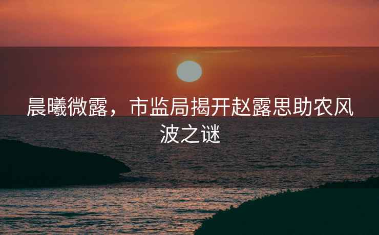 晨曦微露，市監局揭開(kāi)趙露思助農風(fēng)波之謎
