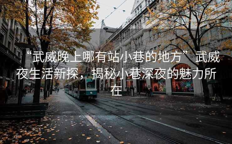 “武威晚上哪有站小巷的地方”武威夜生活新探，揭秘小巷深夜的魅力所在