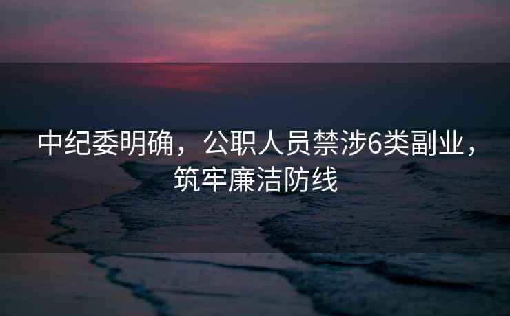 中紀委明確，公職人員禁涉6類(lèi)副業(yè)，筑牢廉潔防線(xiàn)