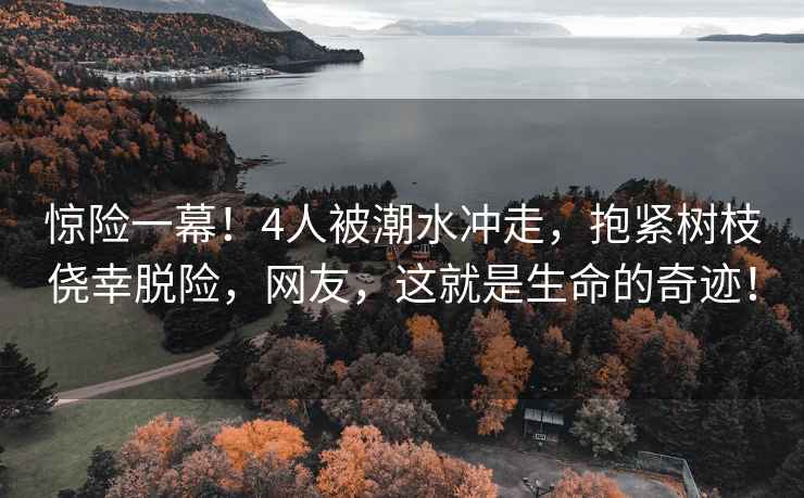 驚險一幕！4人被潮水沖走，抱緊樹(shù)枝僥幸脫險，網(wǎng)友，這就是生命的奇跡！