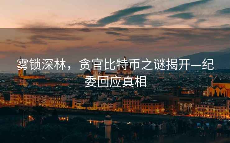 霧鎖深林，貪官比特幣之謎揭開(kāi)—紀委回應真相