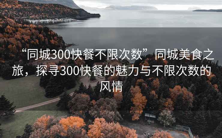 “同城300快餐不限次數”同城美食之旅，探尋300快餐的魅力與不限次數的風(fēng)情
