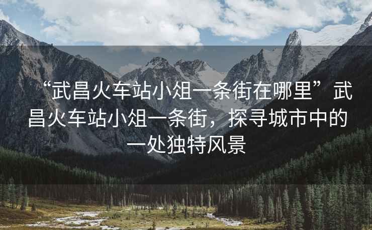 “武昌火車(chē)站小俎一條街在哪里”武昌火車(chē)站小俎一條街，探尋城市中的一處獨特風(fēng)景