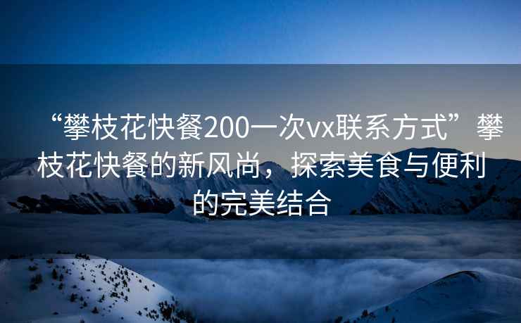 “攀枝花快餐200一次vx聯(lián)系方式”攀枝花快餐的新風(fēng)尚，探索美食與便利的完美結合