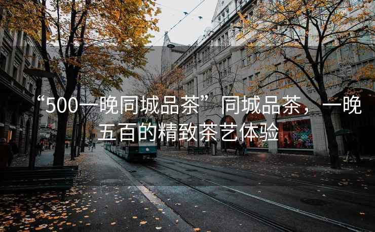 “500一晚同城品茶”同城品茶，一晚五百的精致茶藝體驗