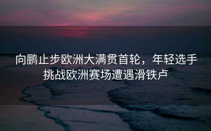 向鵬止步歐洲大滿(mǎn)貫首輪，年輕選手挑戰歐洲賽場(chǎng)遭遇滑鐵盧