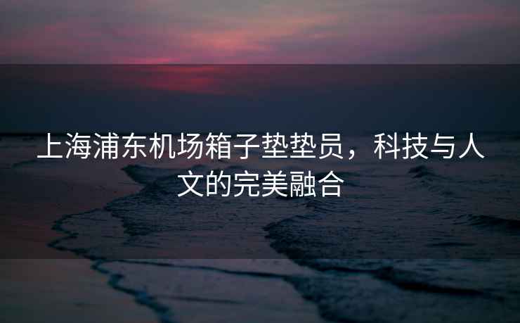上海浦東機場(chǎng)箱子墊墊員，科技與人文的完美融合