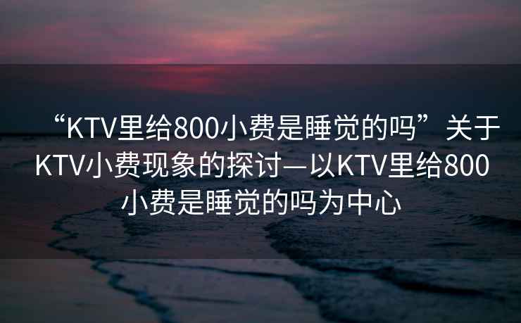 “KTV里給800小費是睡覺(jué)的嗎”關(guān)于KTV小費現象的探討—以KTV里給800小費是睡覺(jué)的嗎為中心