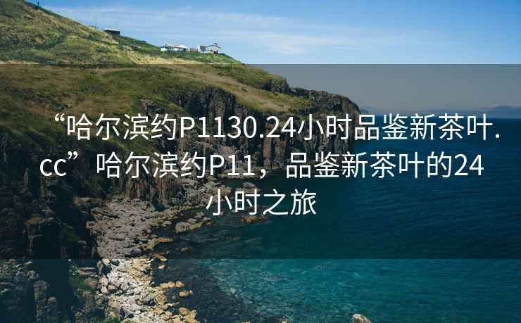 “哈爾濱約P1130.24小時(shí)品鑒新茶葉.cc”哈爾濱約P11，品鑒新茶葉的24小時(shí)之旅