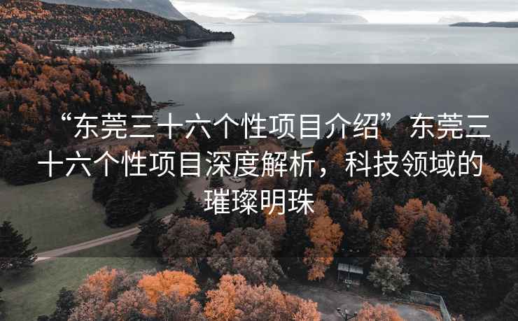 “東莞三十六個(gè)性項目介紹”東莞三十六個(gè)性項目深度解析，科技領(lǐng)域的璀璨明珠