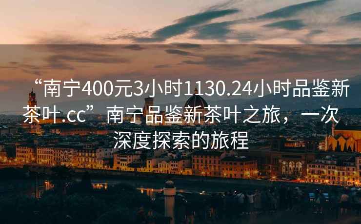 “南寧400元3小時(shí)1130.24小時(shí)品鑒新茶葉.cc”南寧品鑒新茶葉之旅，一次深度探索的旅程