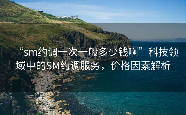 “sm約調一次一般多少錢(qián)啊”科技領(lǐng)域中的SM約調服務(wù)，價(jià)格因素解析