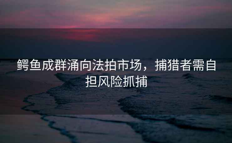 鱷魚(yú)成群涌向法拍市場(chǎng)，捕獵者需自擔風(fēng)險抓捕