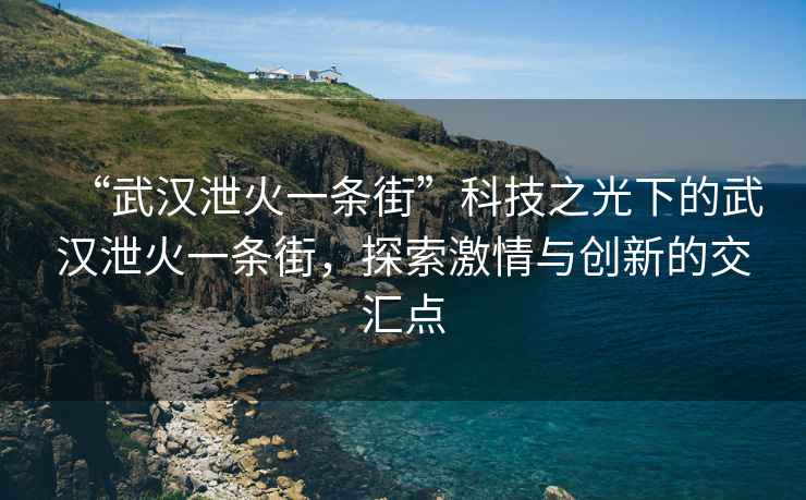 “武漢泄火一條街”科技之光下的武漢泄火一條街，探索激情與創(chuàng  )新的交匯點(diǎn)