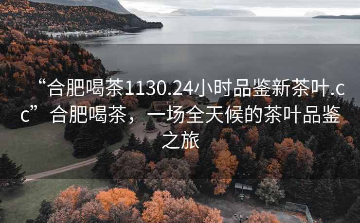 “合肥喝茶1130.24小時(shí)品鑒新茶葉.cc”合肥喝茶，一場(chǎng)全天候的茶葉品鑒之旅