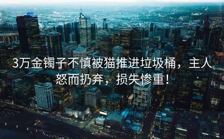 3萬(wàn)金鐲子不慎被貓推進(jìn)垃圾桶，主人怒而扔棄，損失慘重！