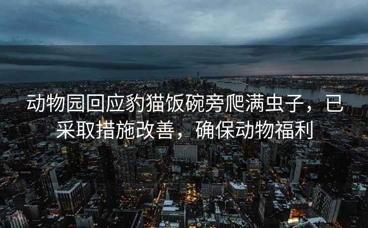 動(dòng)物園回應豹貓飯碗旁爬滿(mǎn)蟲(chóng)子，已采取措施改善，確保動(dòng)物福利