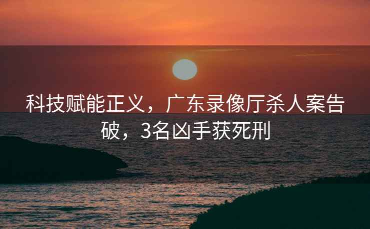 科技賦能正義，廣東錄像廳殺人案告破，3名兇手獲死刑