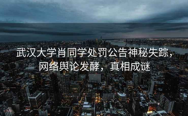 武漢大學(xué)肖同學(xué)處罰公告神秘失蹤，網(wǎng)絡(luò )輿論發(fā)酵，真相成謎