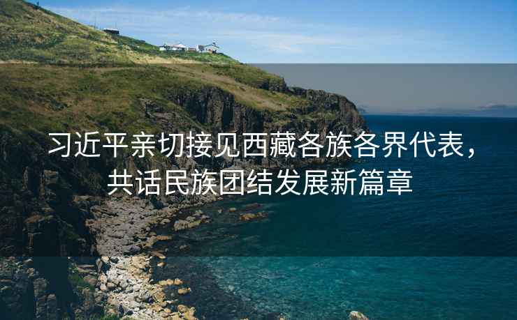 習近平親切接見(jiàn)西藏各族各界代表，共話(huà)民族團結發(fā)展新篇章