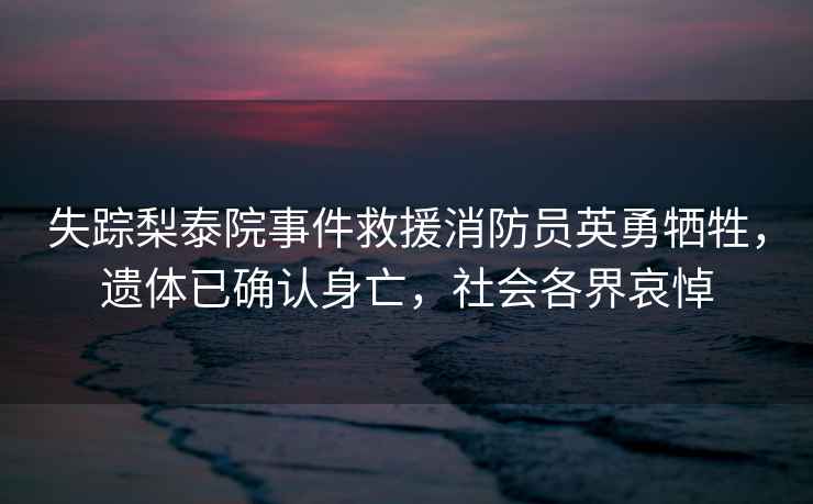 失蹤梨泰院事件救援消防員英勇?tīng)奚?，遺體已確認身亡，社會(huì )各界哀悼