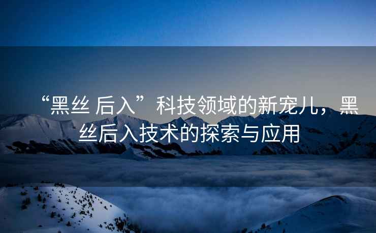 “黑絲 后入”科技領(lǐng)域的新寵兒，黑絲后入技術(shù)的探索與應用