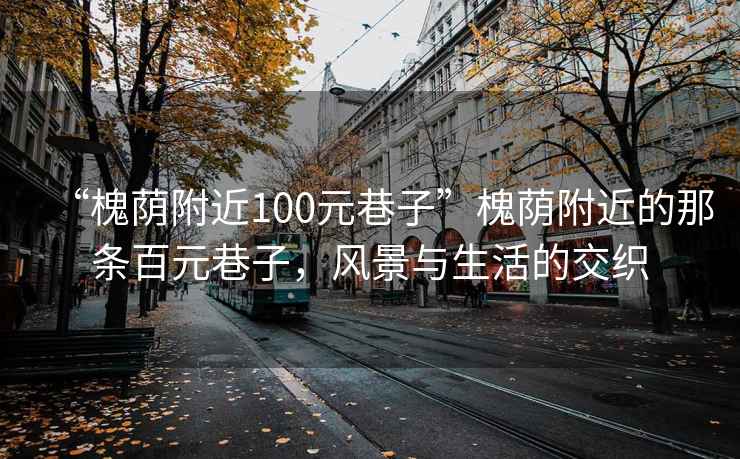 “槐蔭附近100元巷子”槐蔭附近的那條百元巷子，風(fēng)景與生活的交織