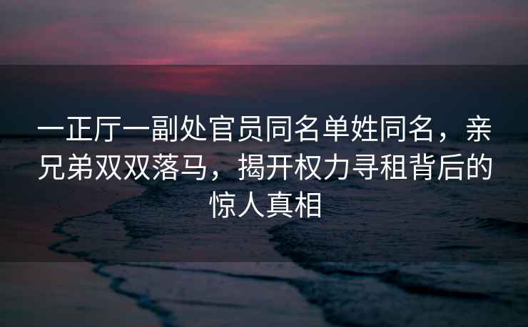 一正廳一副處官員同名單姓同名，親兄弟雙雙落馬，揭開(kāi)權力尋租背后的驚人真相