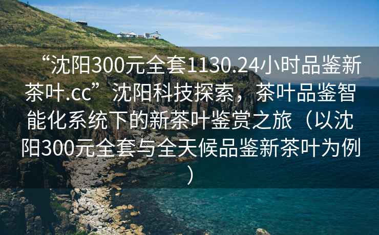 “沈陽(yáng)300元全套1130.24小時(shí)品鑒新茶葉.cc”沈陽(yáng)科技探索，茶葉品鑒智能化系統下的新茶葉鑒賞之旅（以沈陽(yáng)300元全套與全天候品鑒新茶葉為例）
