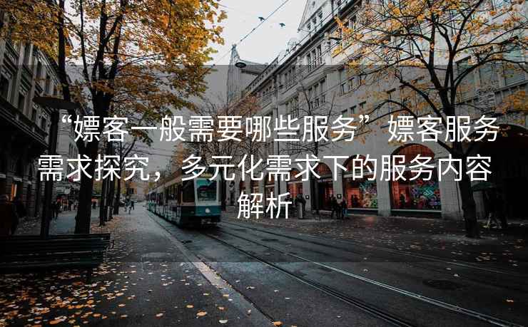 “嫖客一般需要哪些服務(wù)”嫖客服務(wù)需求探究，多元化需求下的服務(wù)內容解析