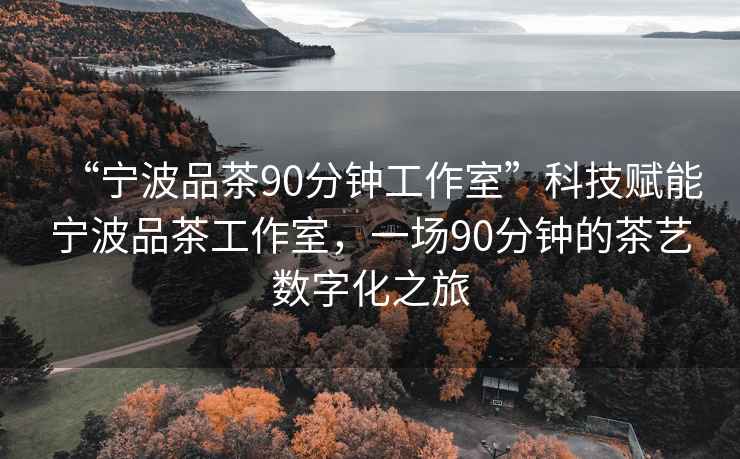 “寧波品茶90分鐘工作室”科技賦能寧波品茶工作室，一場(chǎng)90分鐘的茶藝數字化之旅