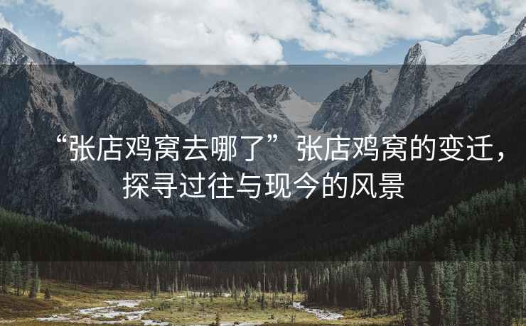 “張店雞窩去哪了”張店雞窩的變遷，探尋過(guò)往與現今的風(fēng)景