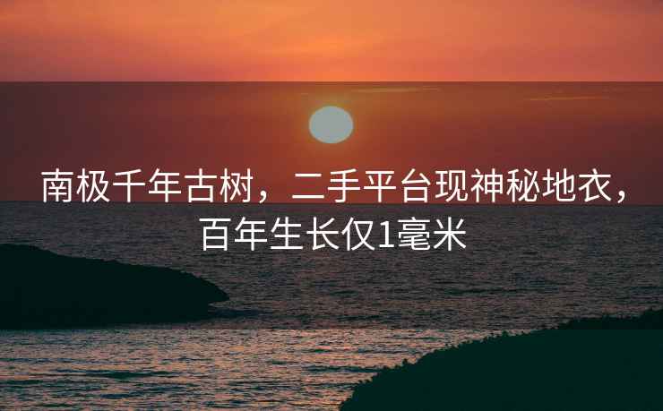 南極千年古樹(shù)，二手平臺現神秘地衣，百年生長(cháng)僅1毫米