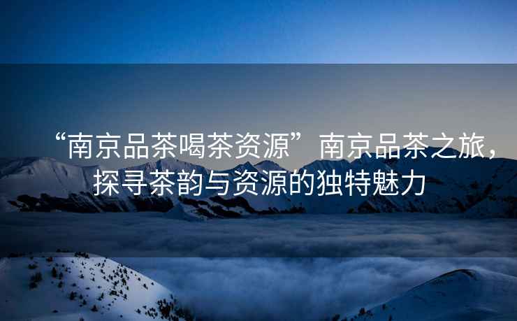 “南京品茶喝茶資源”南京品茶之旅，探尋茶韻與資源的獨特魅力