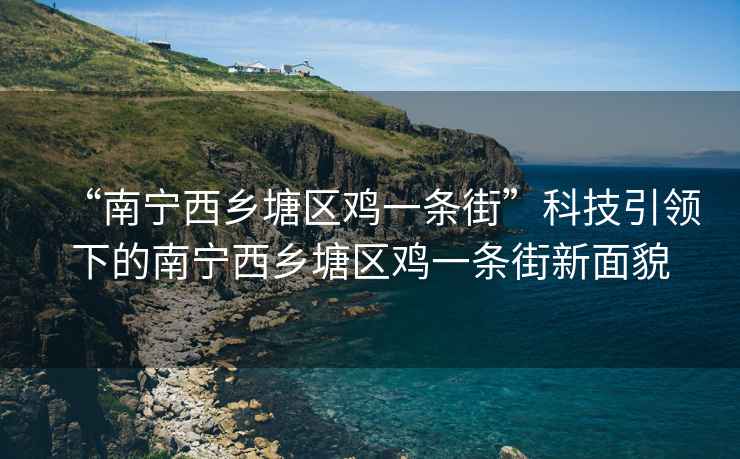 “南寧西鄉塘區雞一條街”科技引領(lǐng)下的南寧西鄉塘區雞一條街新面貌