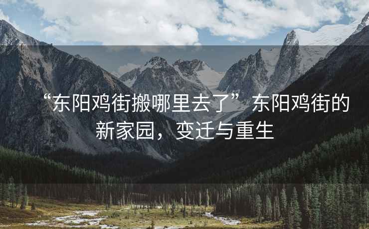 “東陽(yáng)雞街搬哪里去了”東陽(yáng)雞街的新家園，變遷與重生