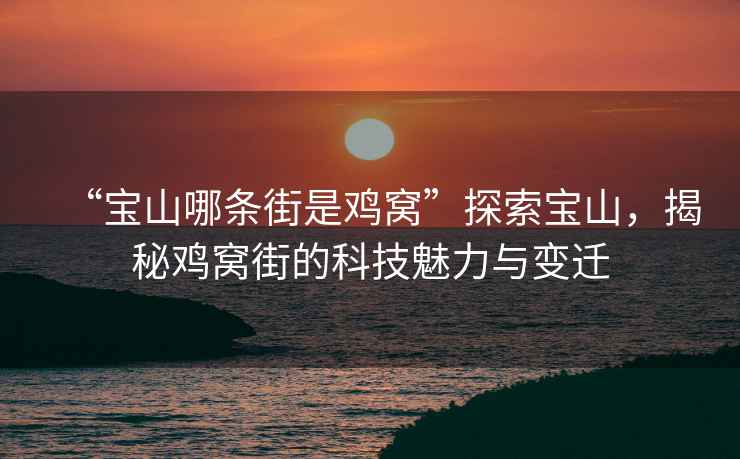 “寶山哪條街是雞窩”探索寶山，揭秘雞窩街的科技魅力與變遷