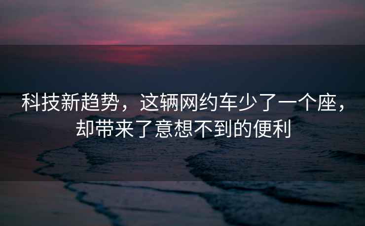 科技新趨勢，這輛網(wǎng)約車(chē)少了一個(gè)座，卻帶來(lái)了意想不到的便利