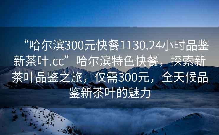 “哈爾濱300元快餐1130.24小時(shí)品鑒新茶葉.cc”哈爾濱特色快餐，探索新茶葉品鑒之旅，僅需300元，全天候品鑒新茶葉的魅力