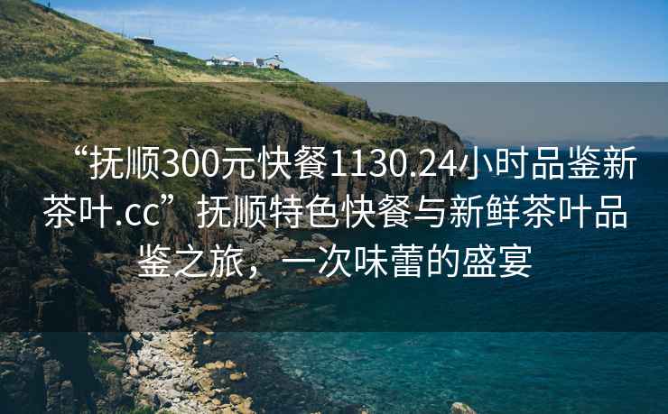 “撫順300元快餐1130.24小時(shí)品鑒新茶葉.cc”撫順特色快餐與新鮮茶葉品鑒之旅，一次味蕾的盛宴