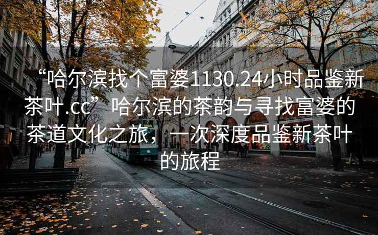 “哈爾濱找個(gè)富婆1130.24小時(shí)品鑒新茶葉.cc”哈爾濱的茶韻與尋找富婆的茶道文化之旅，一次深度品鑒新茶葉的旅程