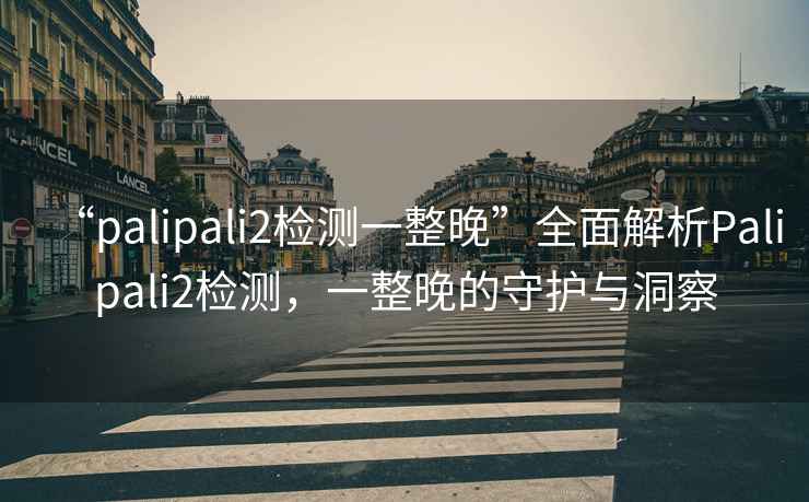 “palipali2檢測一整晚”全面解析Palipali2檢測，一整晚的守護與洞察