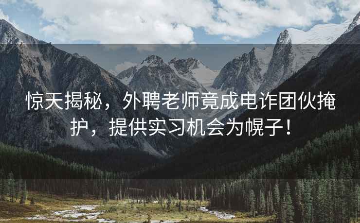 驚天揭秘，外聘老師竟成電詐團伙掩護，提供實(shí)習機會(huì )為幌子！