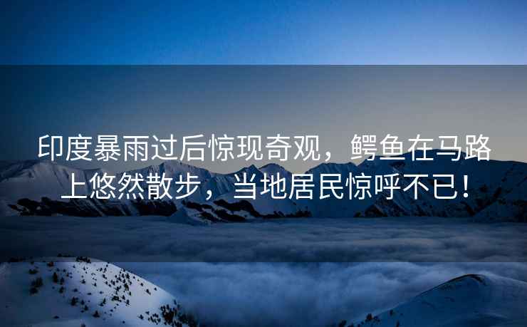 印度暴雨過(guò)后驚現奇觀(guān)，鱷魚(yú)在馬路上悠然散步，當地居民驚呼不已！