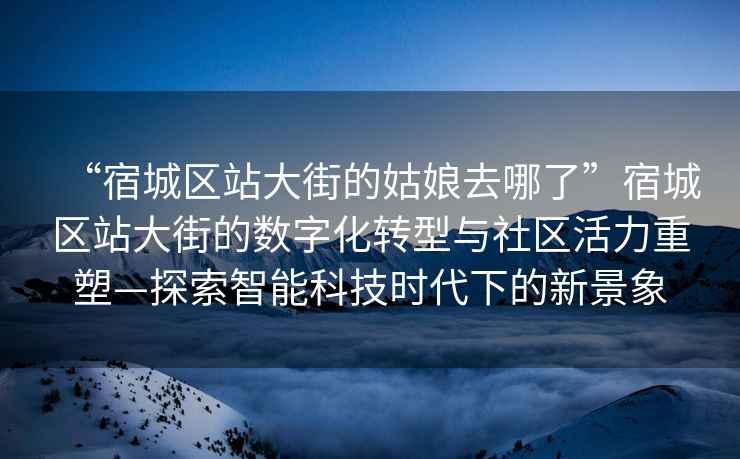 “宿城區站大街的姑娘去哪了”宿城區站大街的數字化轉型與社區活力重塑—探索智能科技時(shí)代下的新景象